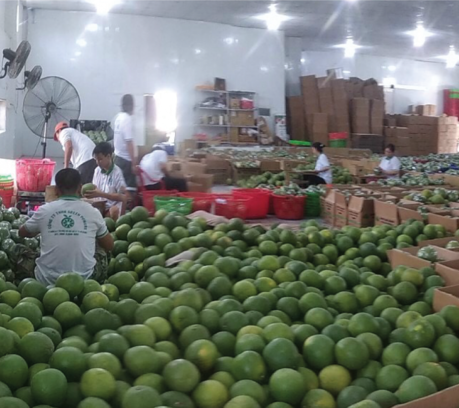 Trái Cây Tươi 30 11 TẬP ĐOÀN LERIN GROUP - Vì thương hiệu Việt trên trường quốc tế