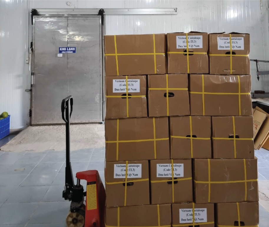 Trái Cây Tươi 39 20 TẬP ĐOÀN LERIN GROUP - Vì thương hiệu Việt trên trường quốc tế