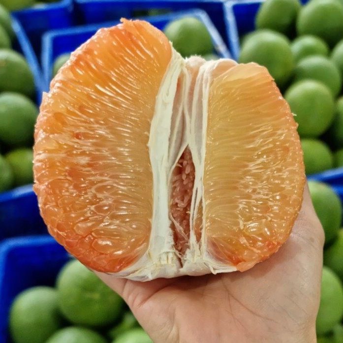 Trái Cây Tươi 49 POMELO e1625887630488 TẬP ĐOÀN LERIN GROUP - Vì thương hiệu Việt trên trường quốc tế